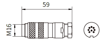 312721 SIZE